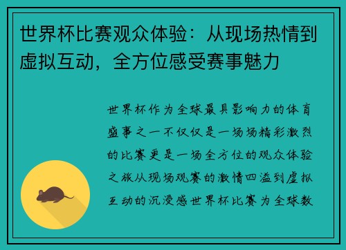 世界杯比赛观众体验：从现场热情到虚拟互动，全方位感受赛事魅力