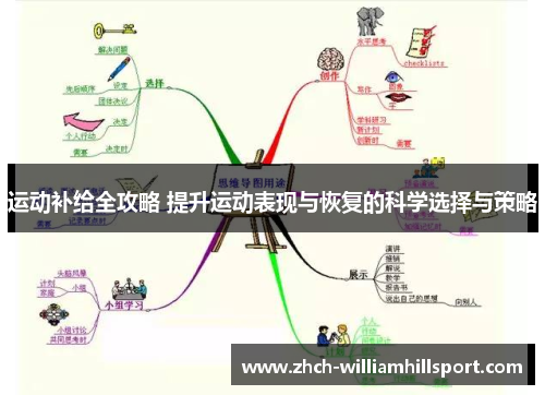 运动补给全攻略 提升运动表现与恢复的科学选择与策略
