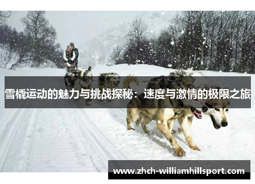 雪橇运动的魅力与挑战探秘：速度与激情的极限之旅